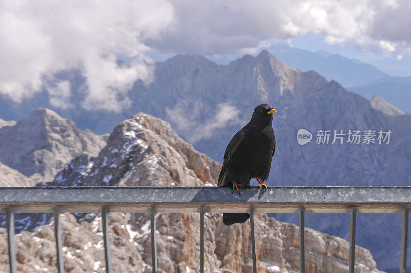 德国Garmisch-Partenkirchen Zugspitze峰会